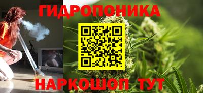 a pvp Ставрополь