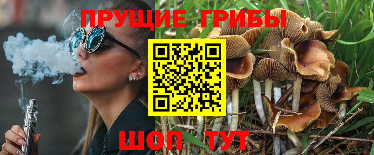 Галлюциногенные грибы Psilocybe  Вход с VPN  Нижний Тагил 