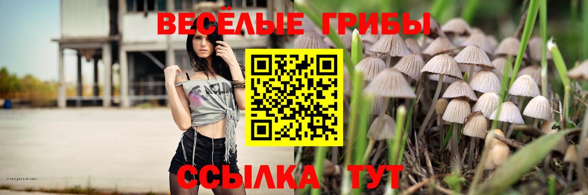 Псилоцибиновые грибы Psilocybe Нижний Тагил